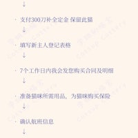 chinese chinese chinese chinese chinese chinese chinese chi